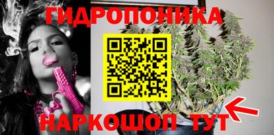 гидропоника Ипатово