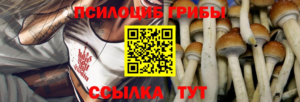 Псилоцибиновые грибы мицелий Ликино-Дулёво