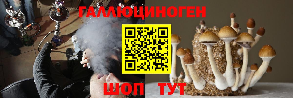 Галлюциногенные грибы Magic Shrooms  Вход с VPN  Ликино-Дулёво  Галлюциногенные грибы Psilocybine cubensis 